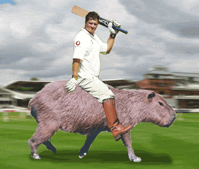 Rob Key rides for glory! Rob Key and capybara, rampant on a field, vert